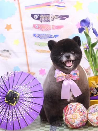 20240504れおくん